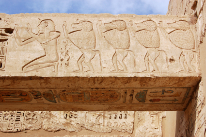 pharaoh_baboons