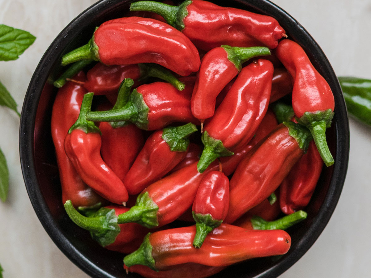 Spicy Logos What’s HOT and What’s NOT