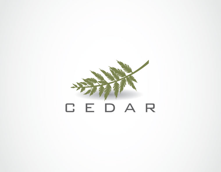 cedar home logo design